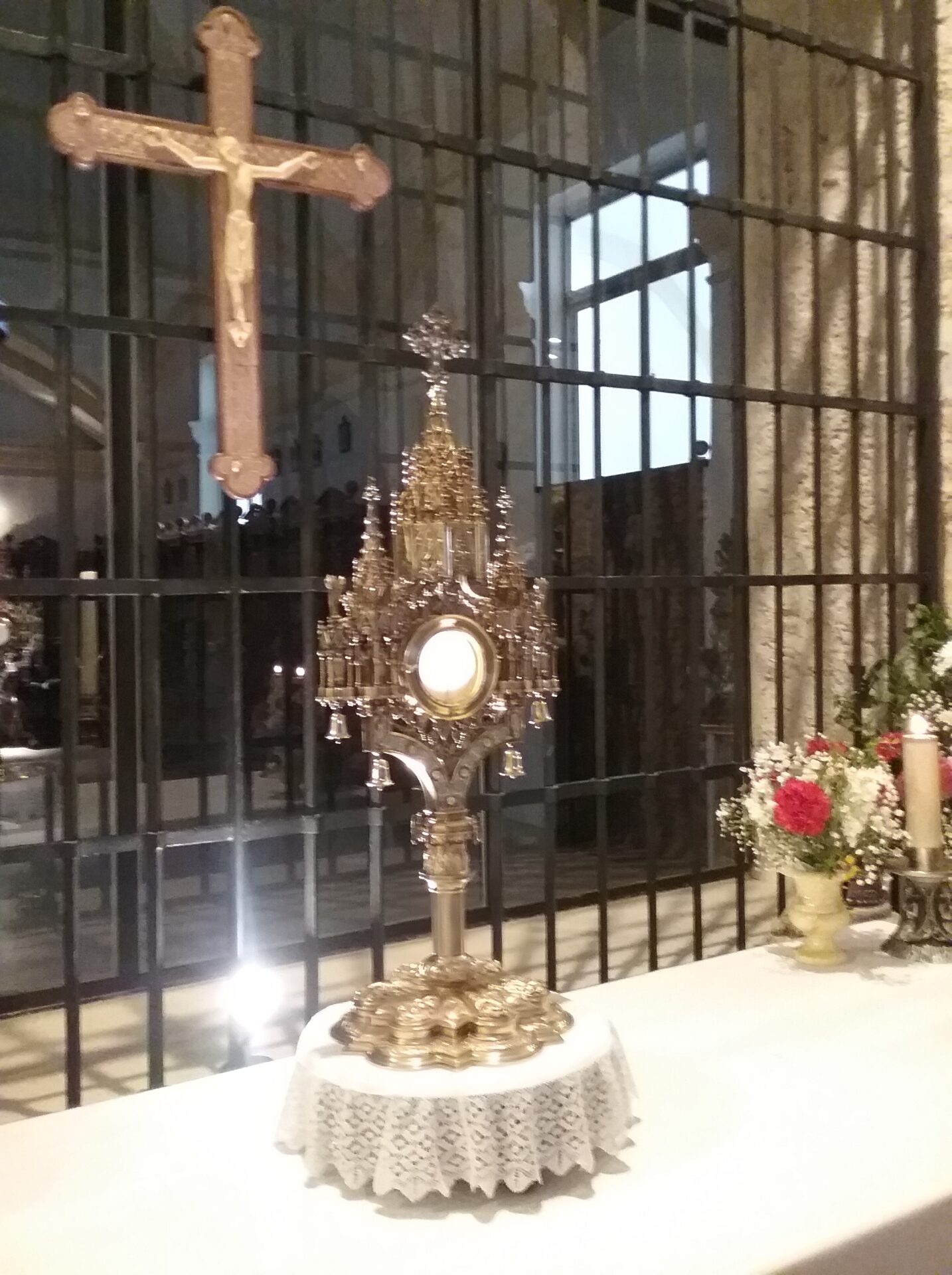 Image 5