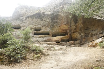 Column 1 Image