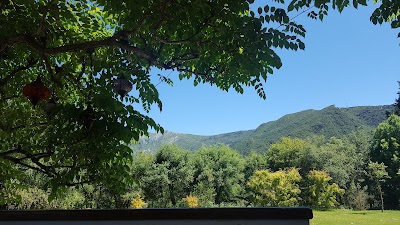 Image 12