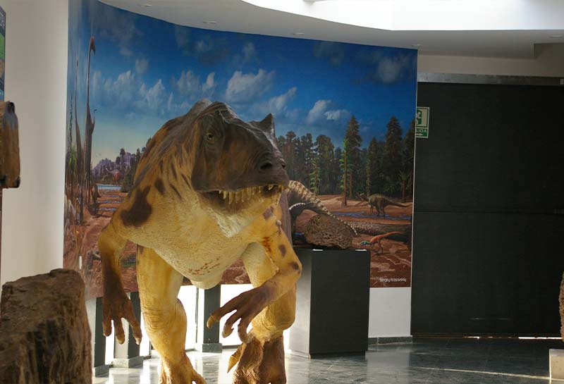 museo-dinosaurios-2