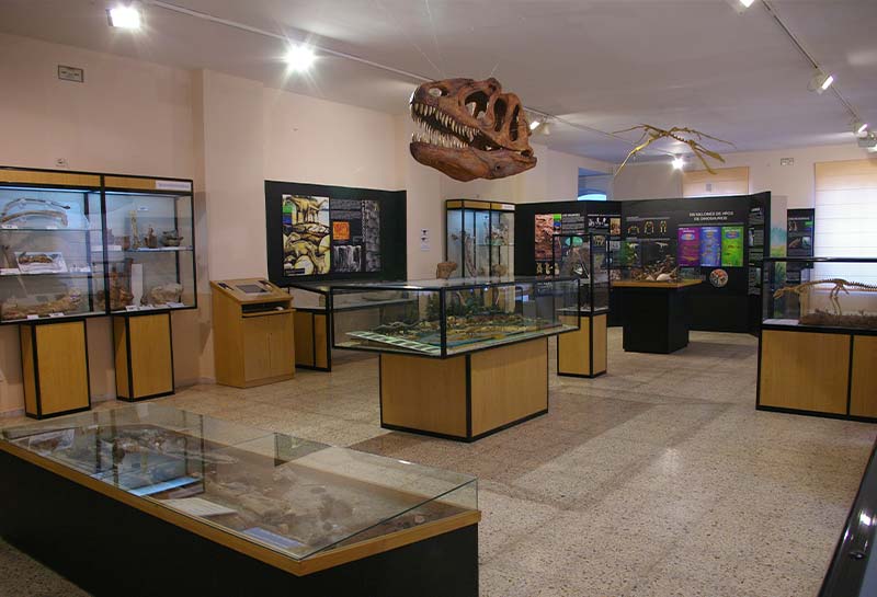 museo-dinosaurios-3